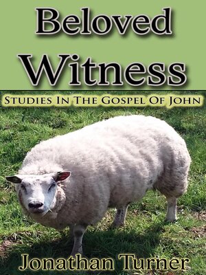 cover image of Beloved Witness